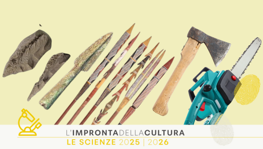 Dal legno alla tecnologia: l’evoluzione degli strumenti tra natura e cultura